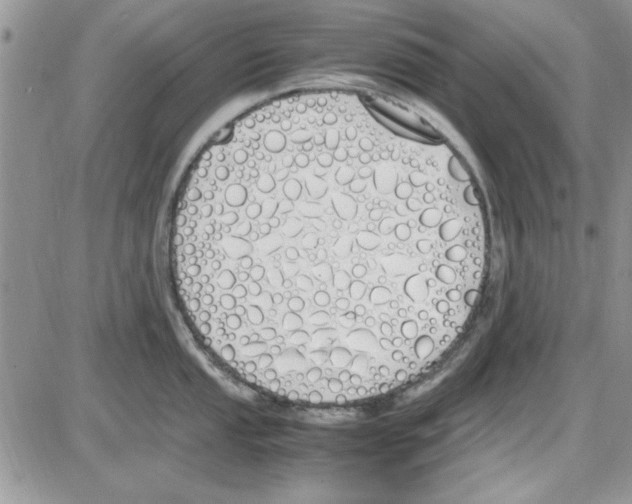 X0000086341053200704272002