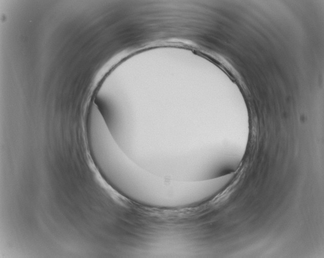 X0000086341054200704272002