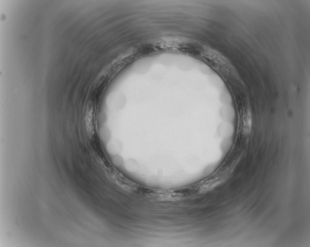 X0000086341060200704272001