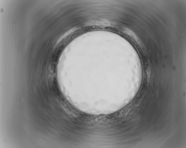 X0000086341064200704272001