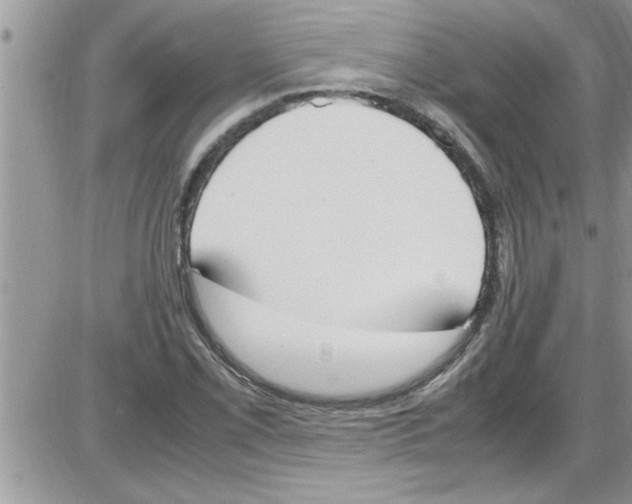 X0000086341069200704272001