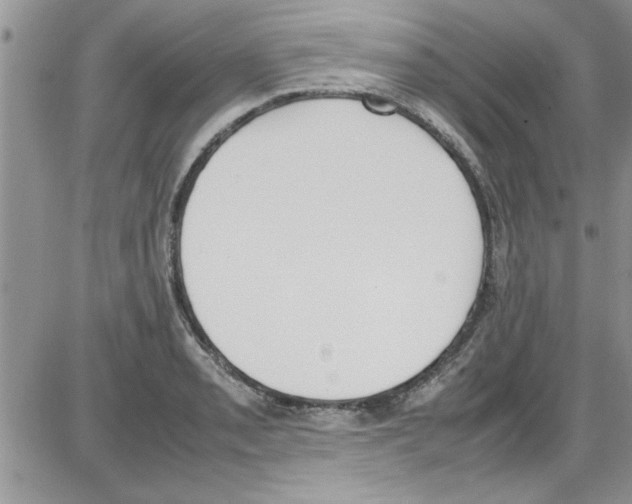 X0000086341085200704272001