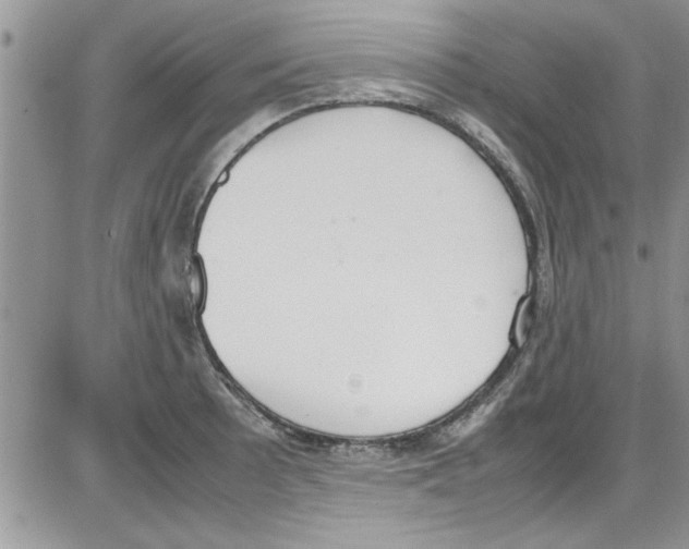 X0000086341089200704272001
