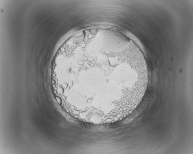 X0000086341099200704272001