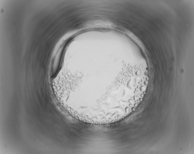 X0000086341104200704272001