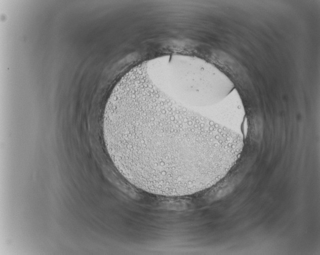 X0000086341105200704272000