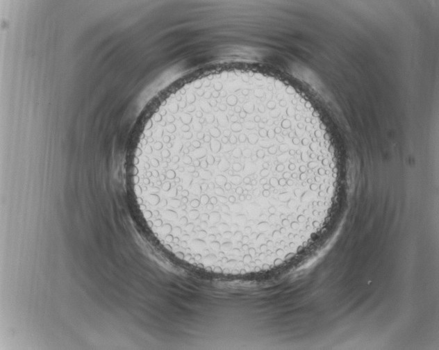 X0000086341113200704272000