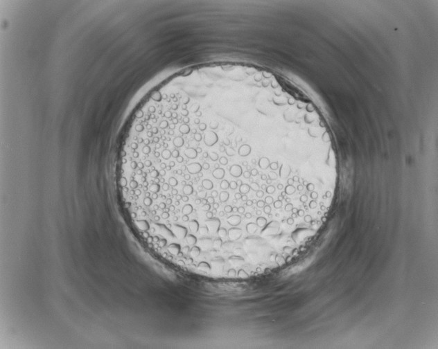 X0000086341149200704272001