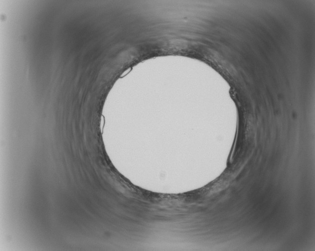 X0000086341153200704272000