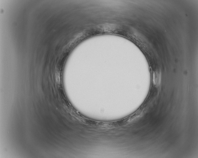 X0000086341155200704272000