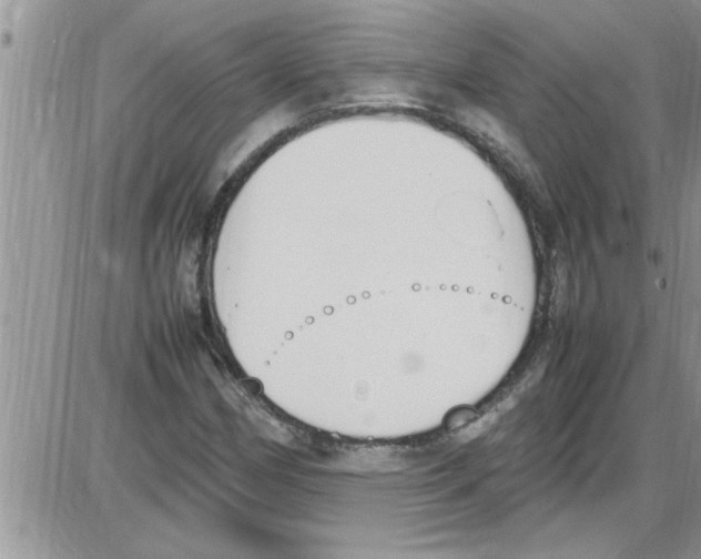 X0000086341162200704272000