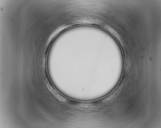 X0000086341179200704271959