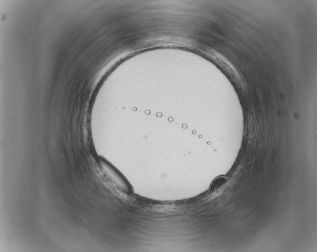 X0000086341182200704271959