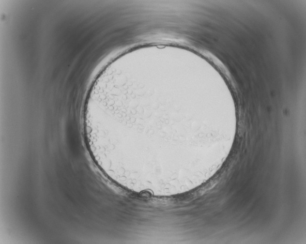 X0000086341191200704271959