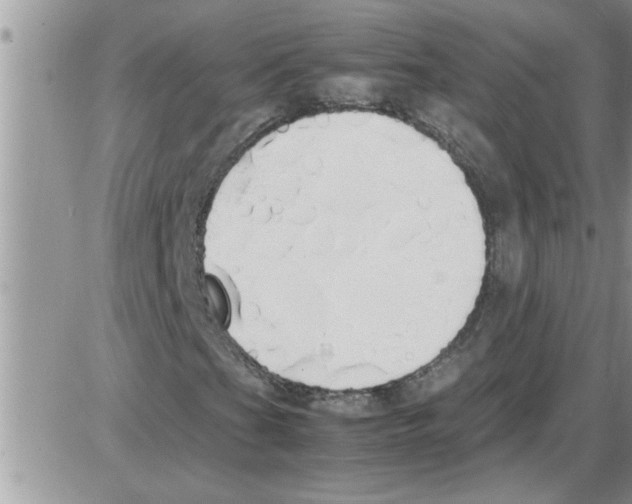 X0000086341201200704271958