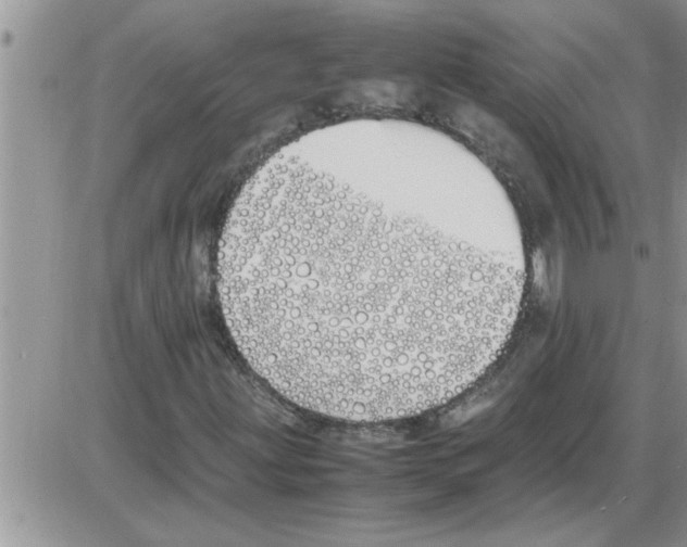 X0000086341203200704271958