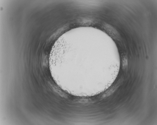 X0000086341204200704271958