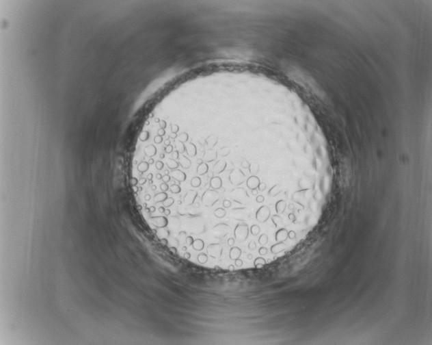 X0000086341208200704271958