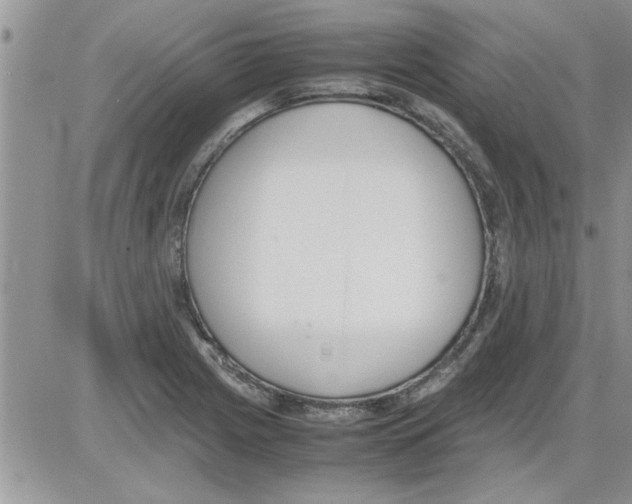 X0000086341225200704271959