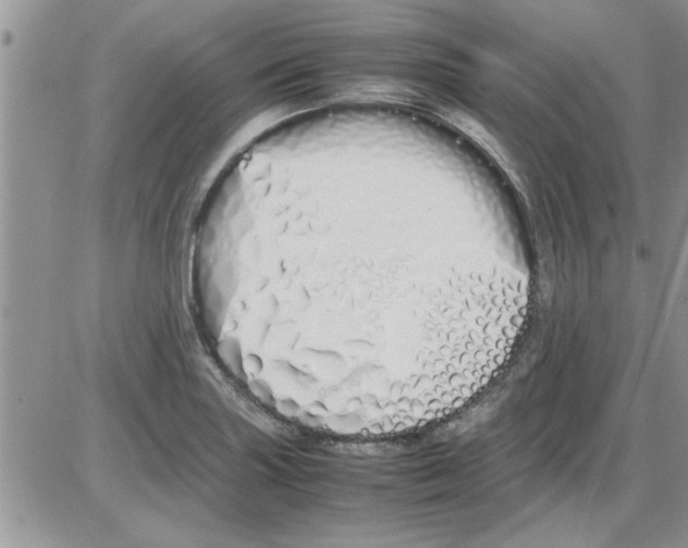 X0000086341227200704271959