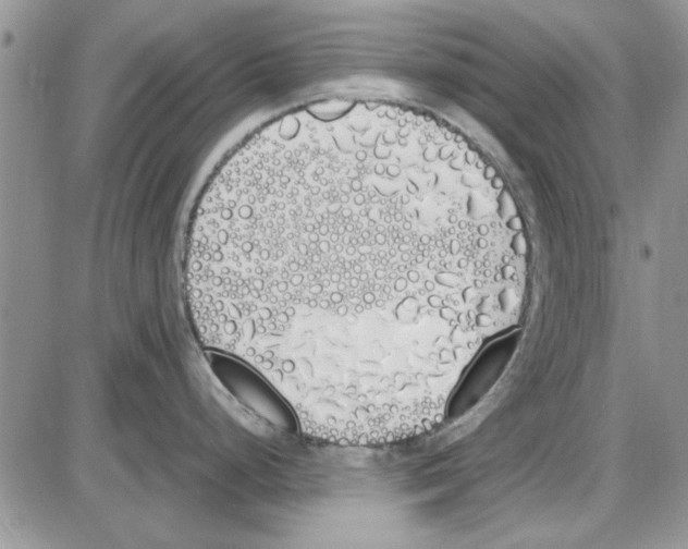 X0000086341248200704271959