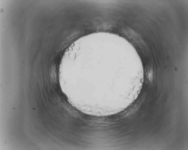 X0000086341252200704271958