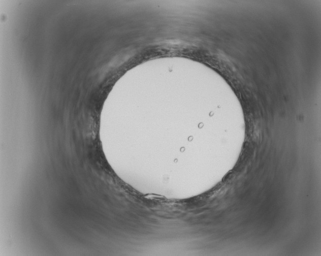 X0000086341253200704271958