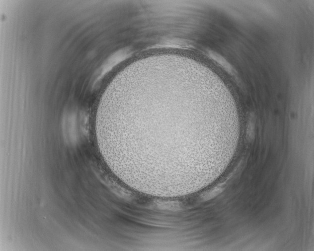 X0000086341258200704271958