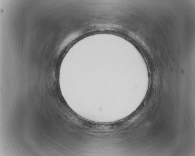X0000086341261200704271958