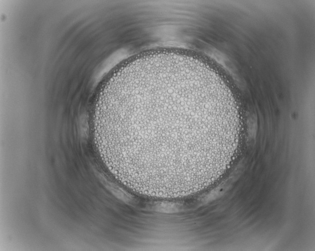 X0000086341266200704271958