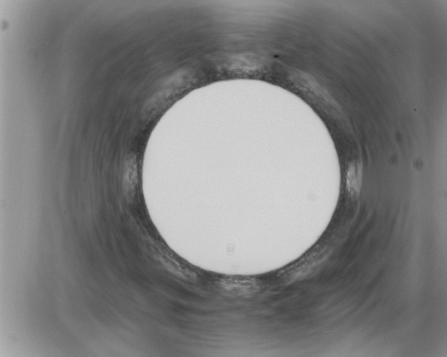 X0000086341299200704271957