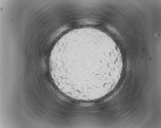 X0000086341305200704271957