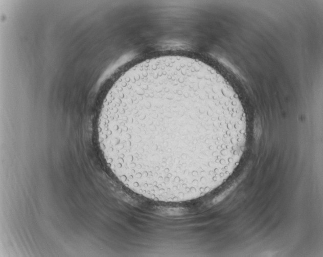 X0000086341309200704271957