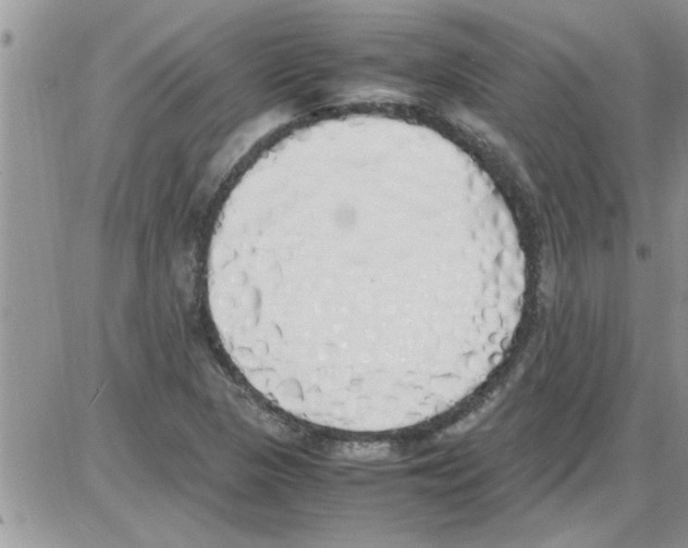 X0000086341313200704271957