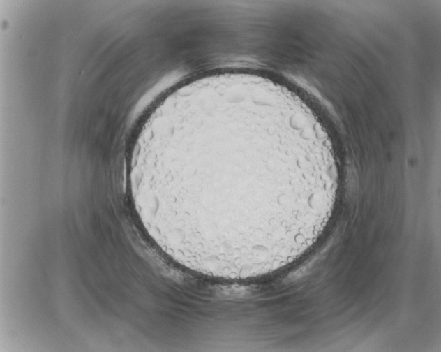 X0000086341317200704271957