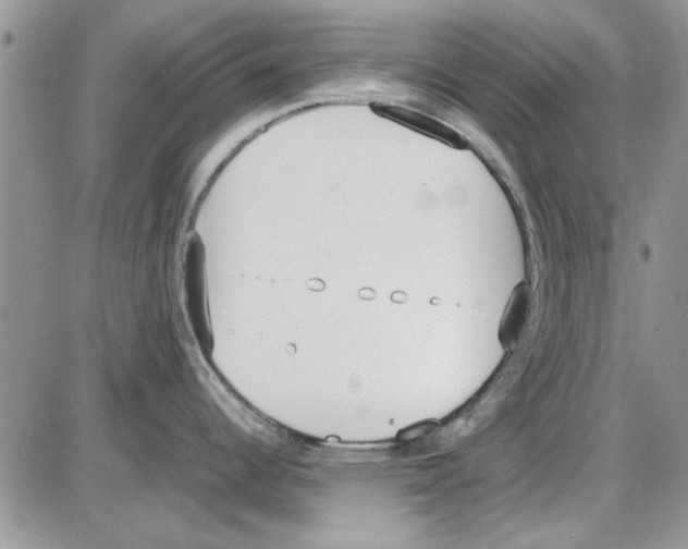 X0000086341344200704271958