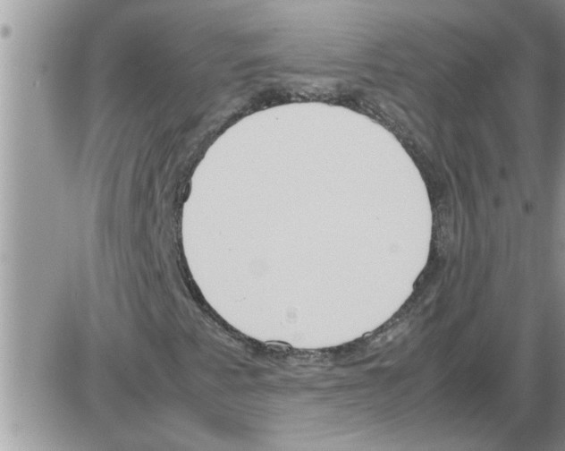X0000086341345200704271957