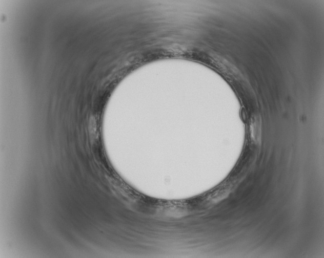 X0000086341347200704271957