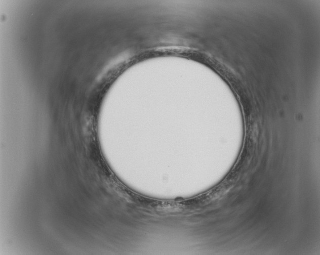 X0000086341351200704271957