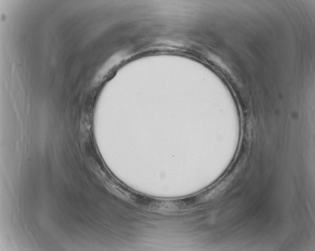 X0000086341355200704271957