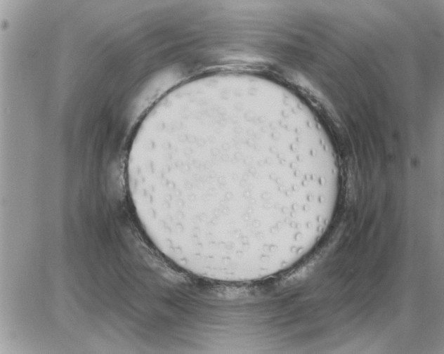 X0000086341362200704271957