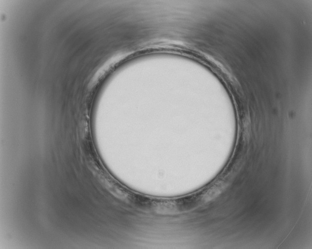 X0000086341363200704271957