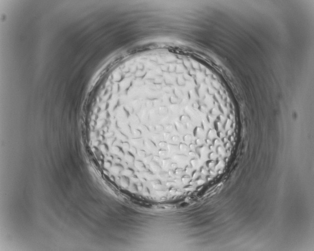 X0000086341392200704271956