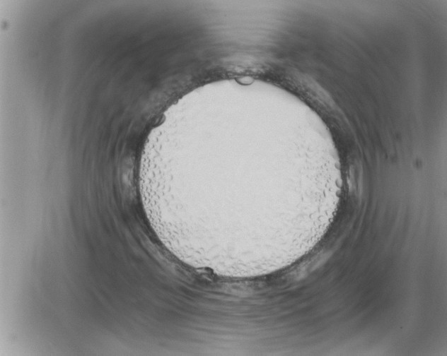 X0000086341396200704271955