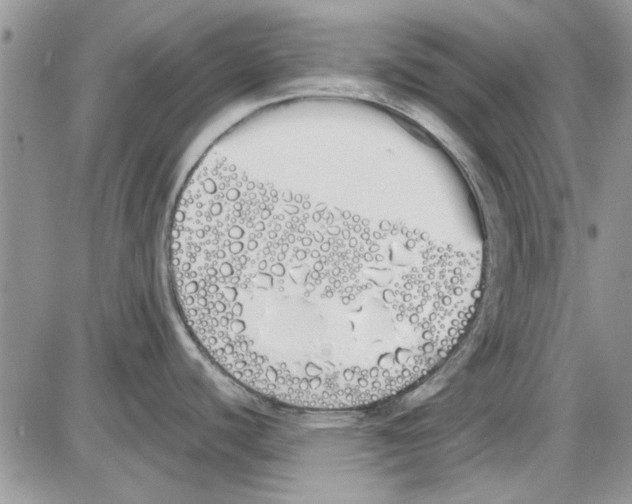 X0000086341440200704271956