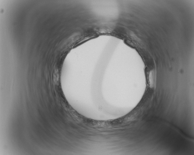 X0000086341443200704271955