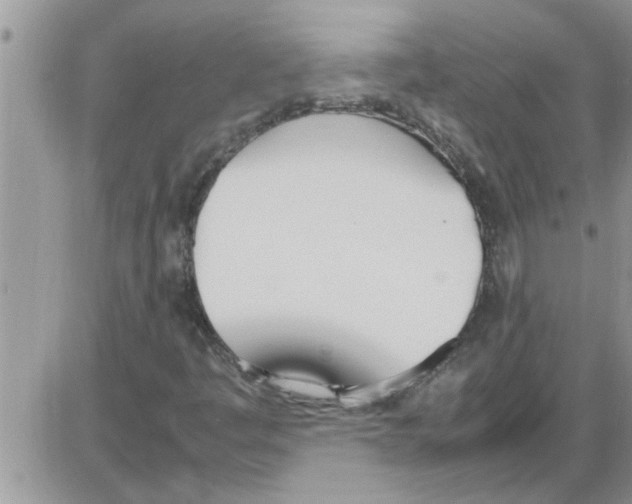 X0000086341445200704271955