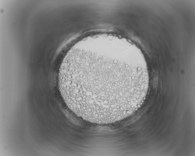 X0000086341448200704271955