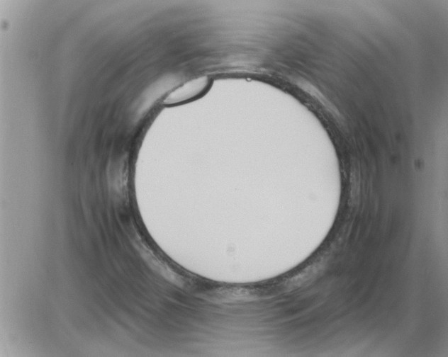 X0000086341450200704271955
