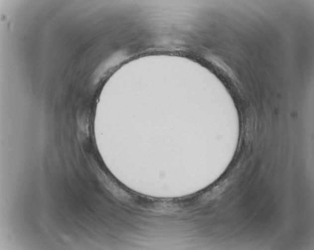 X0000086341451200704271955